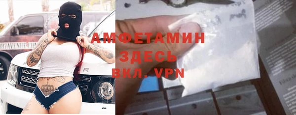 гидра Абаза