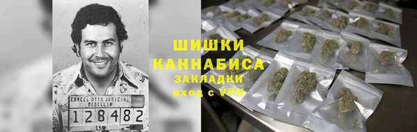 гидра Абаза