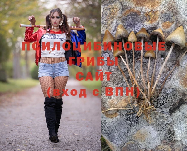 крисы Абинск