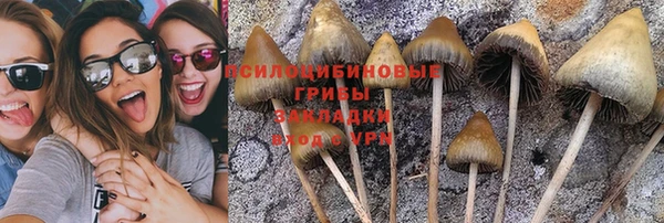 ALPHA-PVP Алексин
