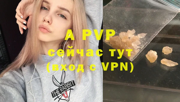 гидра Абаза