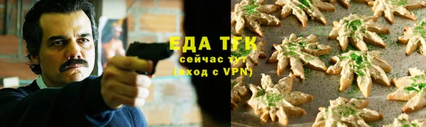 гидра Абаза