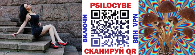 Псилоцибиновые грибы прущие грибы  Советский 